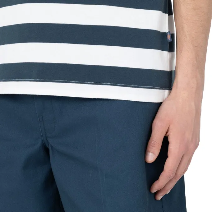 Dickies maglia manica corta da uomo  a righe Rivergrove DK0A4Y8YAF01 blu