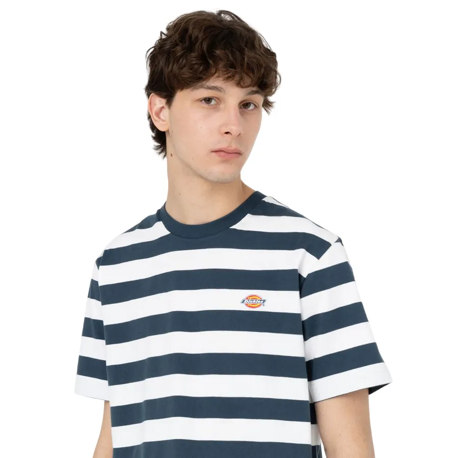 Dickies maglia manica corta da uomo  a righe Rivergrove DK0A4Y8YAF01 blu