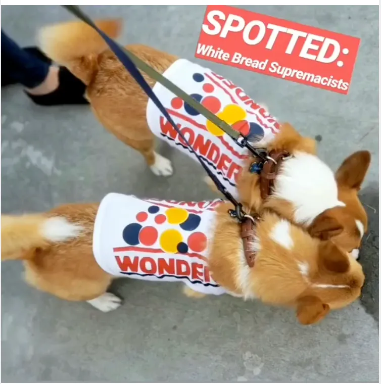 T Shirt for Doggie